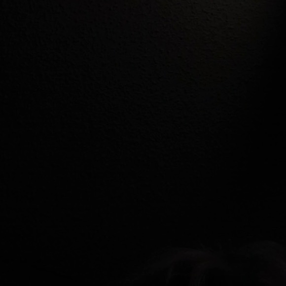 Meet your Posher, Janet - Picture 1 of 1